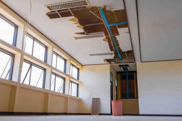 Best Residential water damage restoration  in Northwest Harbor, NY