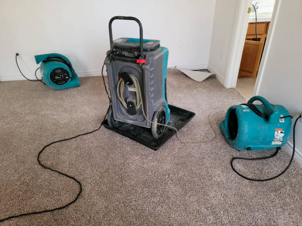 Best Carpet water damage restoration  in Northwest Harbor, NY