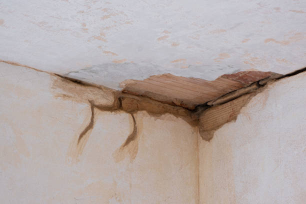  Northwest Harbor, NY Water damage restoration Pros