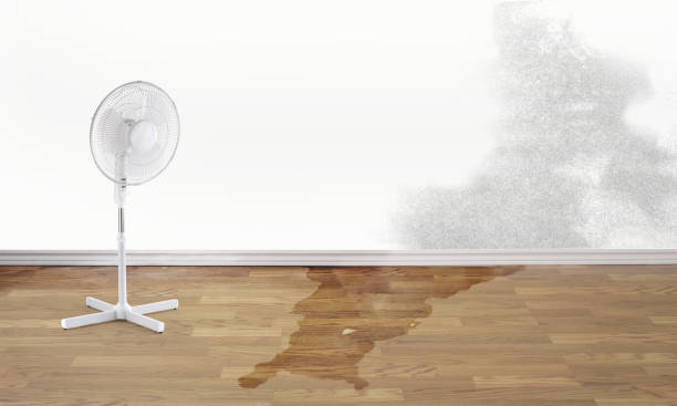 Best Sewage cleanup and water damage restoration  in Northwest Harbor, NY
