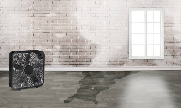 Best Basement water damage restoration  in Northwest Harbor, NY