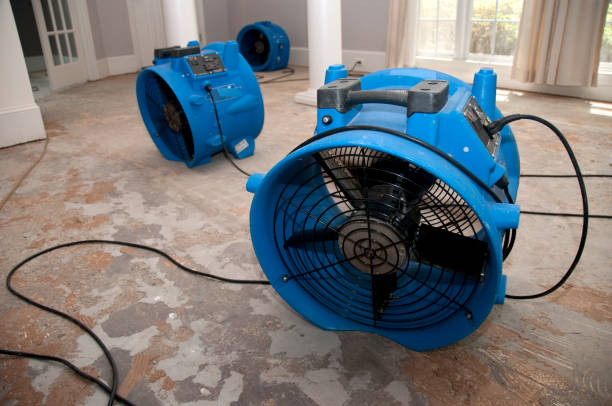 Best Local water damage restoration  in Northwest Harbor, NY
