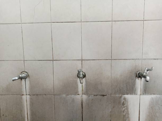 Best Carpet water damage restoration  in Northwest Harbor, NY
