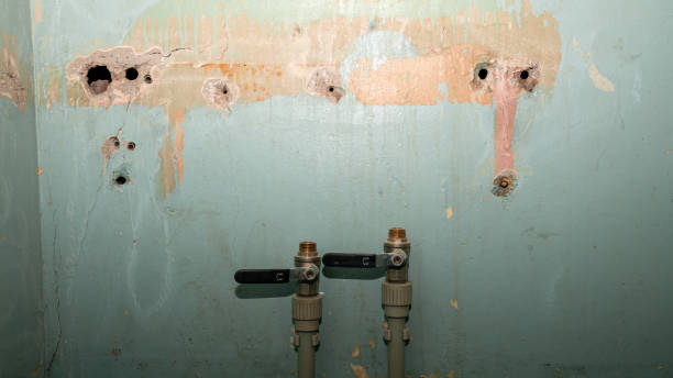 Best 24/7 water damage repair  in Northwest Harbor, NY